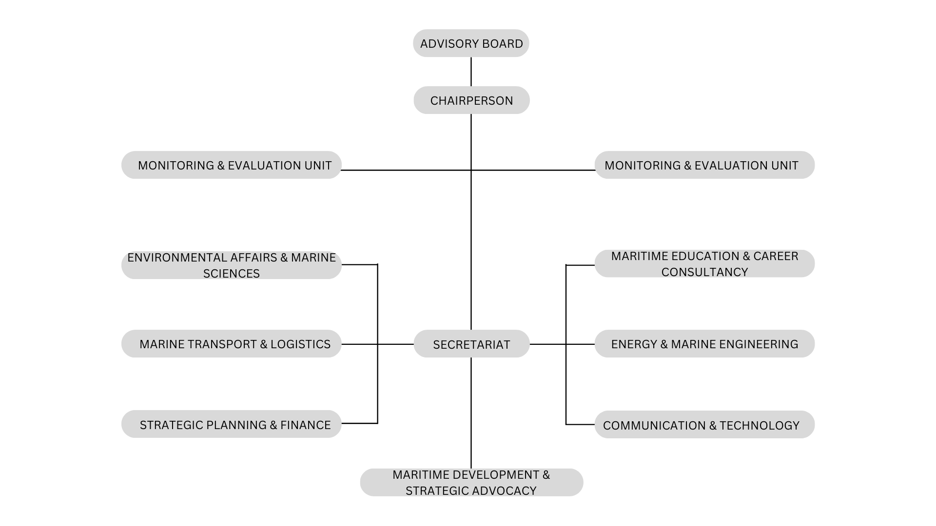 Organization Structure